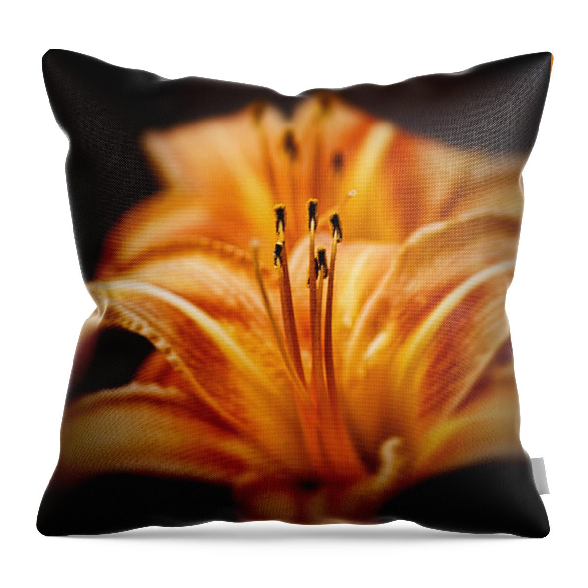 Flower Throw Pillow featuring the photograph Lily and Light by Cameron Wood