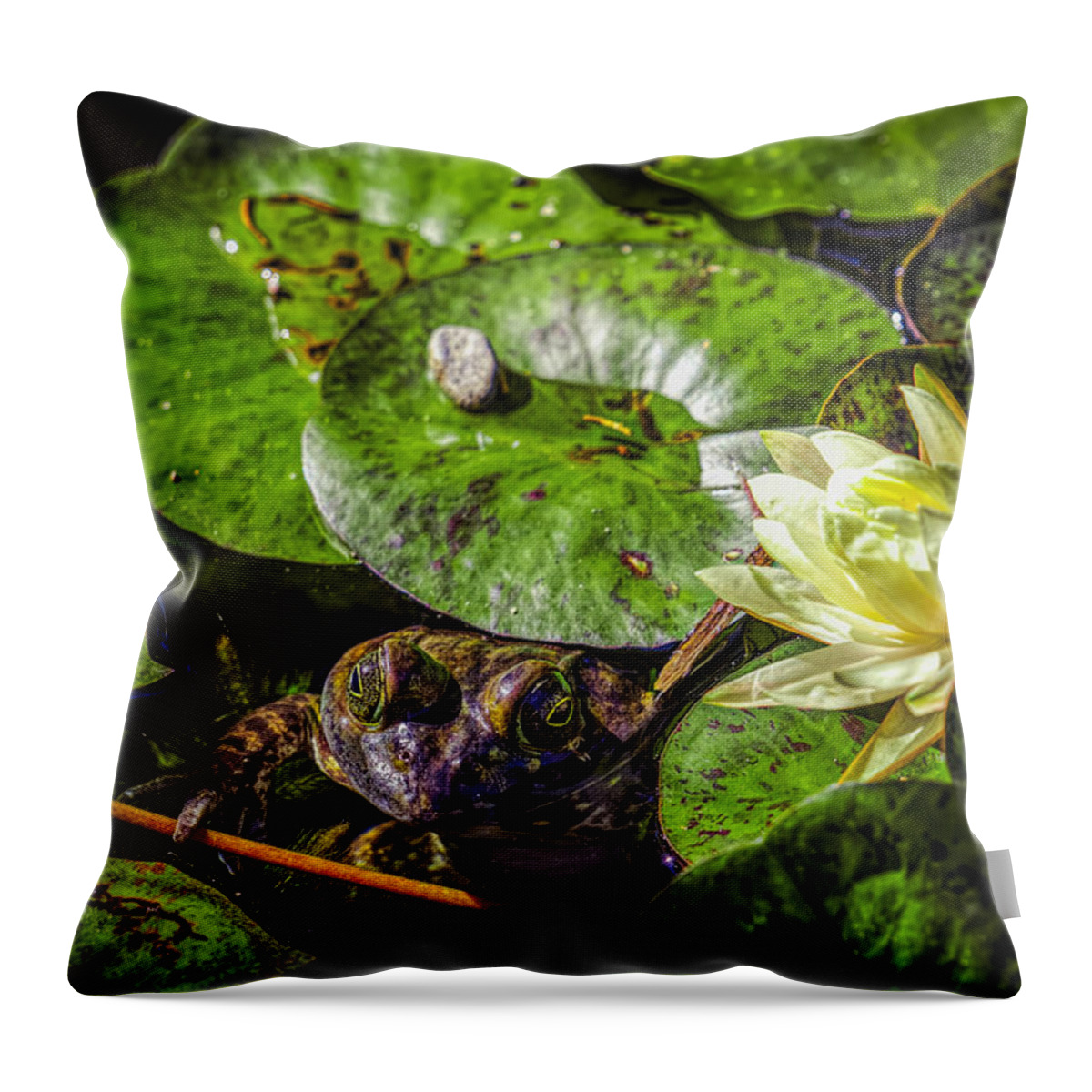 Lily Throw Pillow featuring the photograph Lily and the Frog by Lilia S
