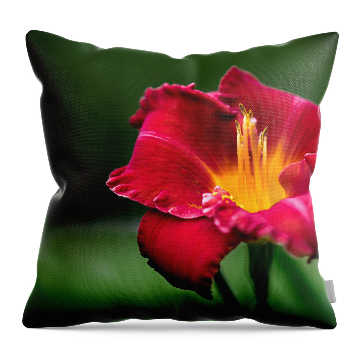 Daylily Throw Pillow featuring the photograph Lily Beauty by Ches Black