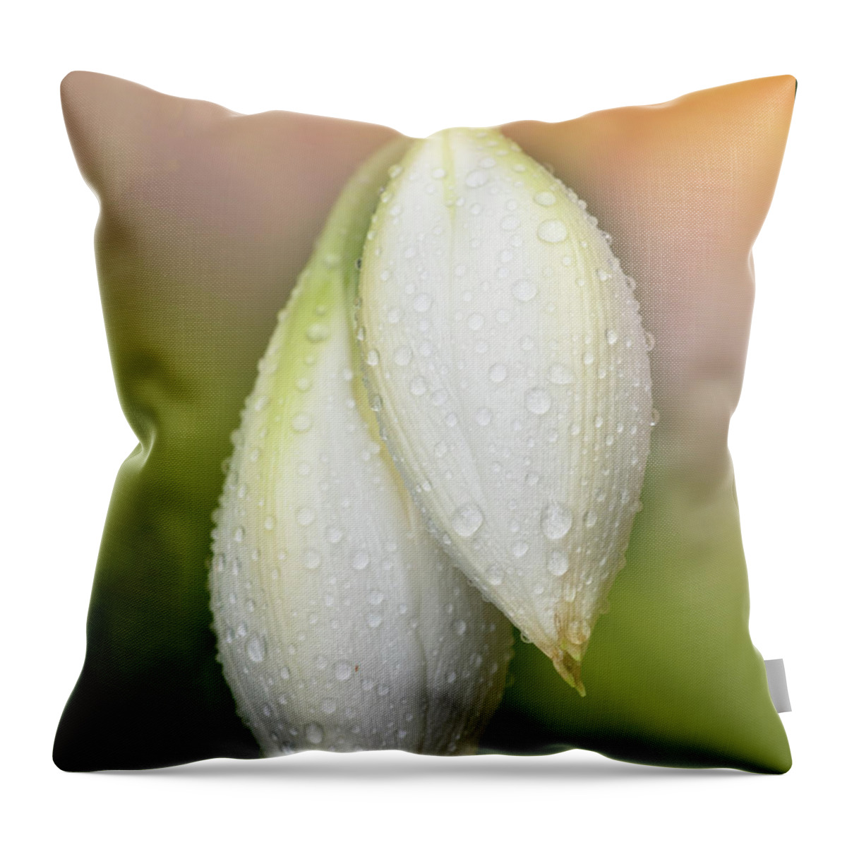 Lily Throw Pillow featuring the photograph Lily buds by Carolyn D'Alessandro