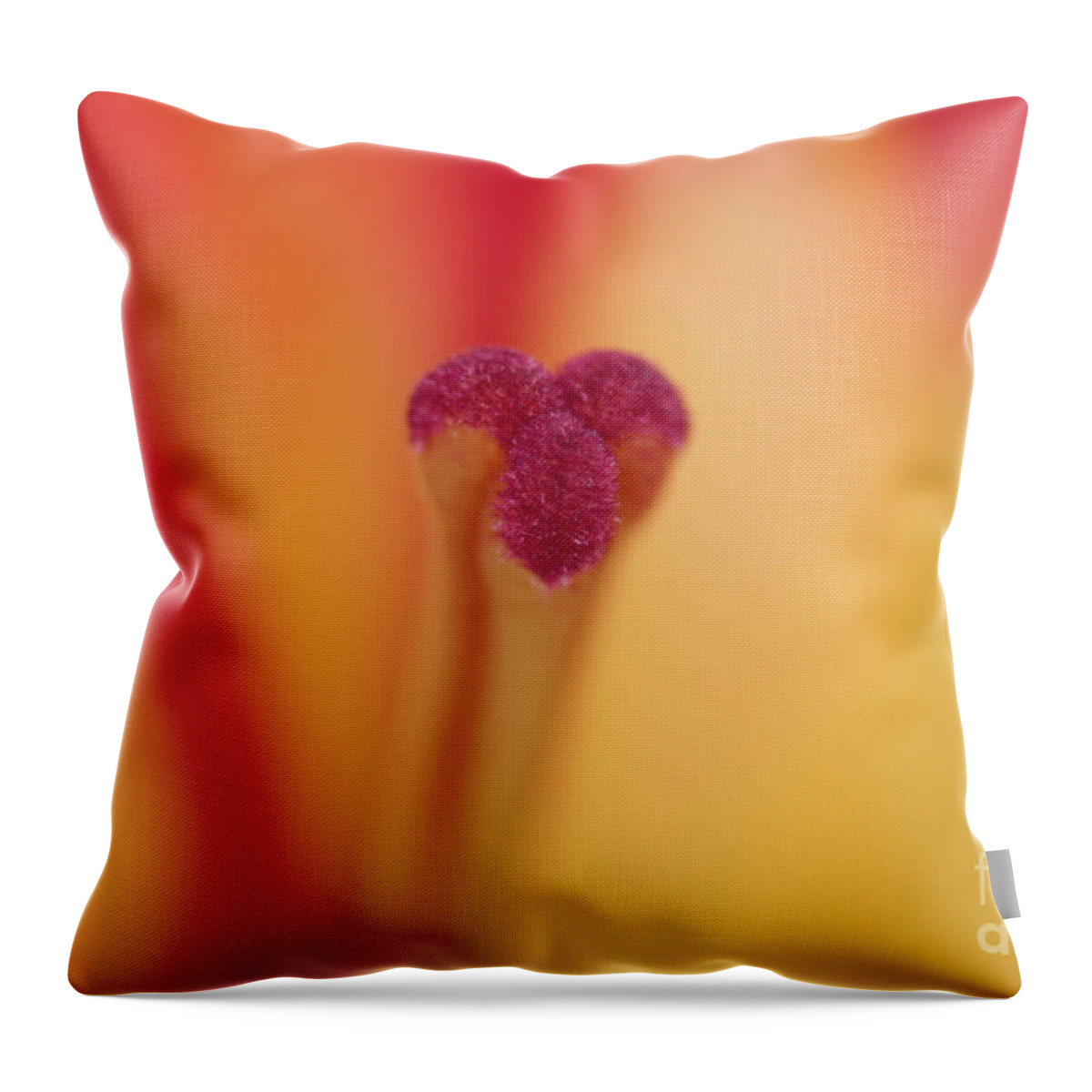Red And Yellow Lily Throw Pillow featuring the photograph Lily Glory by Steve Purnell