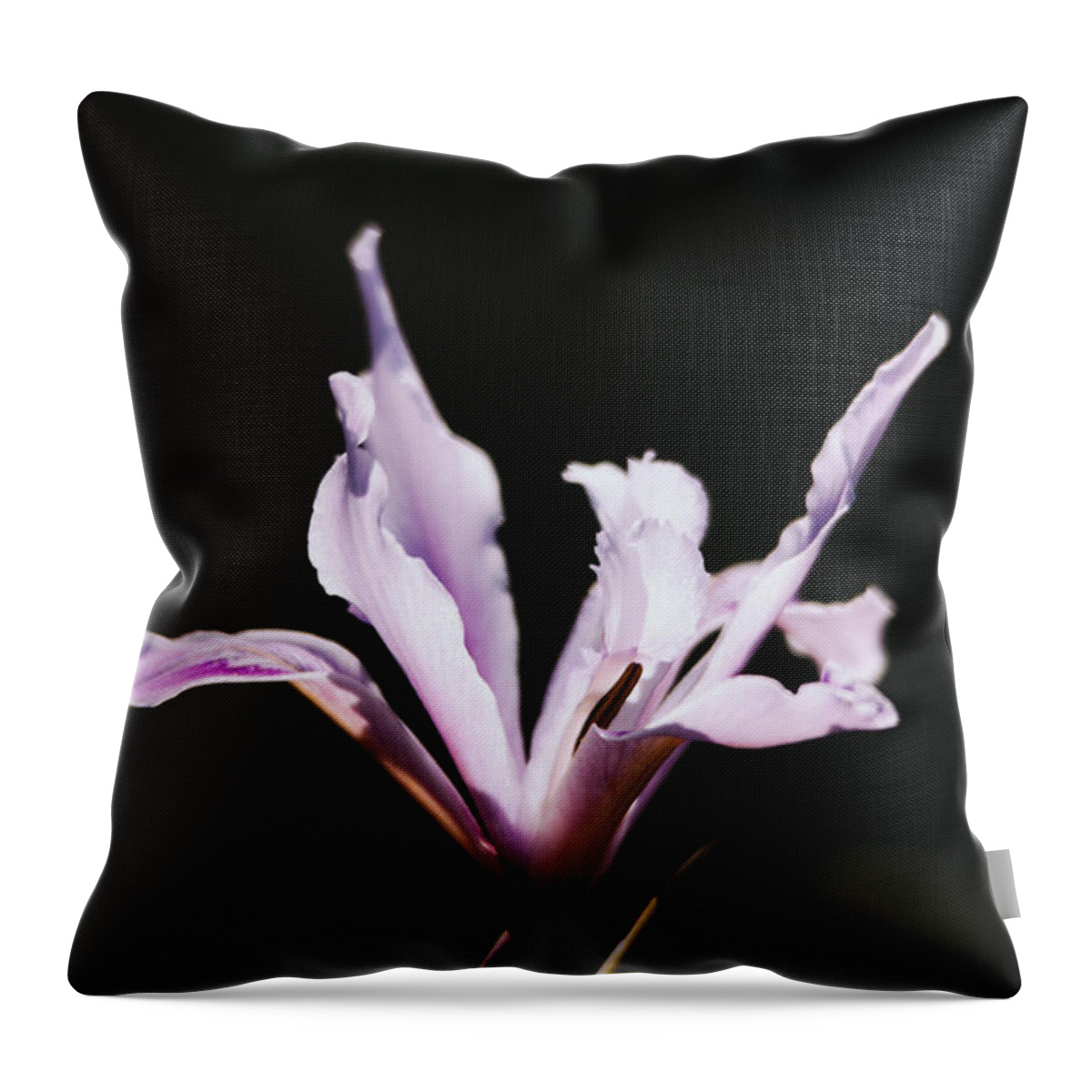 Spring Throw Pillow featuring the photograph Lily by Hyuntae Kim