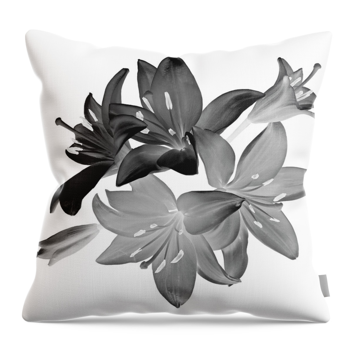 Flowers Throw Pillow featuring the photograph Lily I Black and White by Lily Malor
