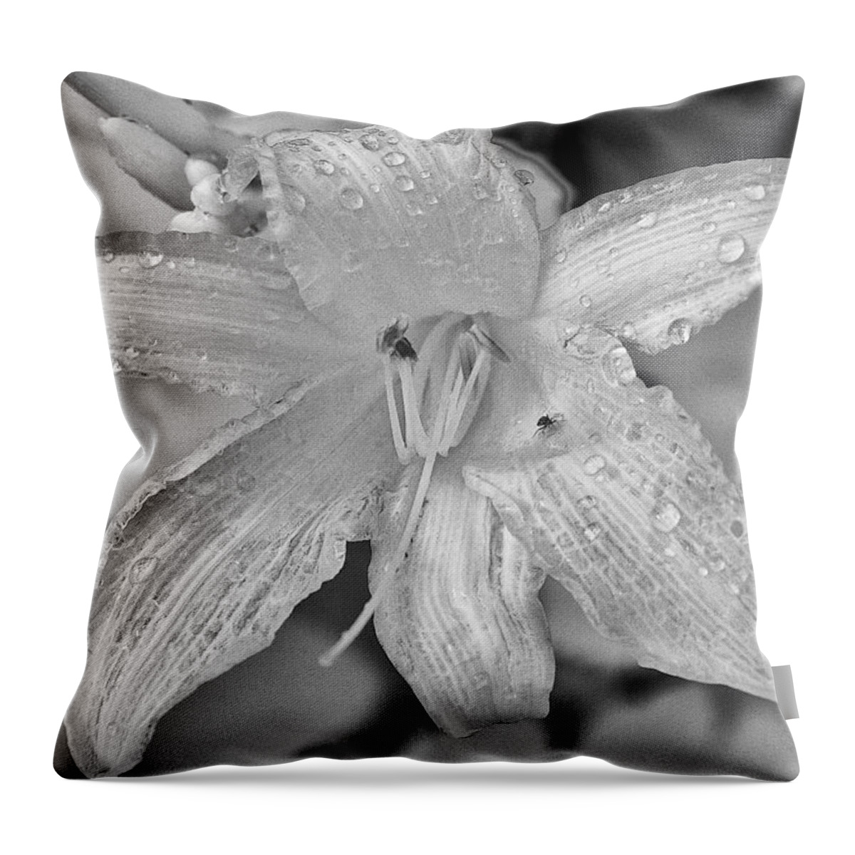 Infrafed Throw Pillow featuring the photograph Lily In Infrared by Dick Pratt