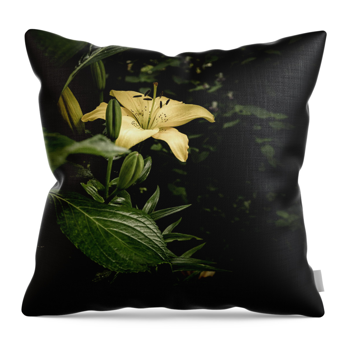 Lilies Throw Pillow featuring the photograph Lily In The Garden Of Shadows by Marco Oliveira