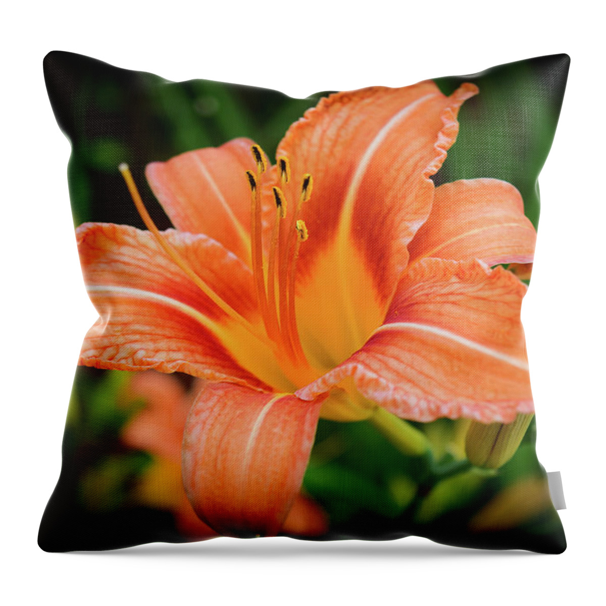 Flower Throw Pillow featuring the photograph Lily by Nicole Lloyd