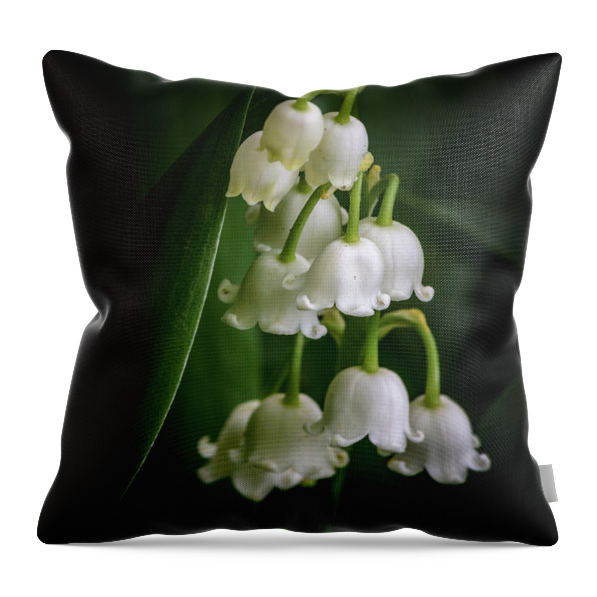 Lily Of The Valley Throw Pillow featuring the photograph Lily Of The Valley Bouquet by Tamara Becker