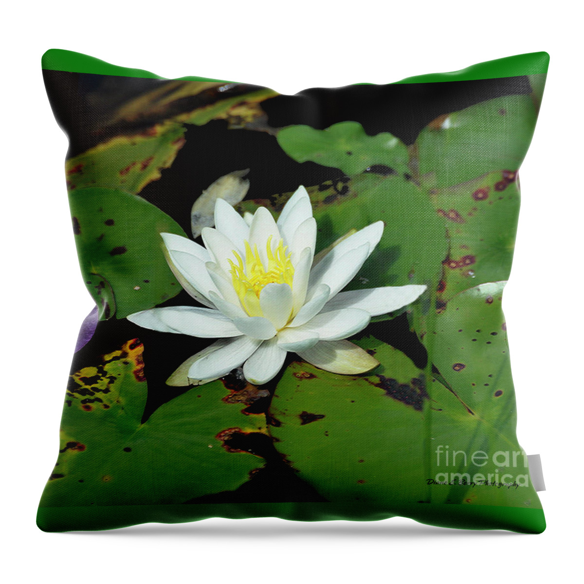 Diane Berry Throw Pillow featuring the photograph Lily Pad 3 by Diane E Berry