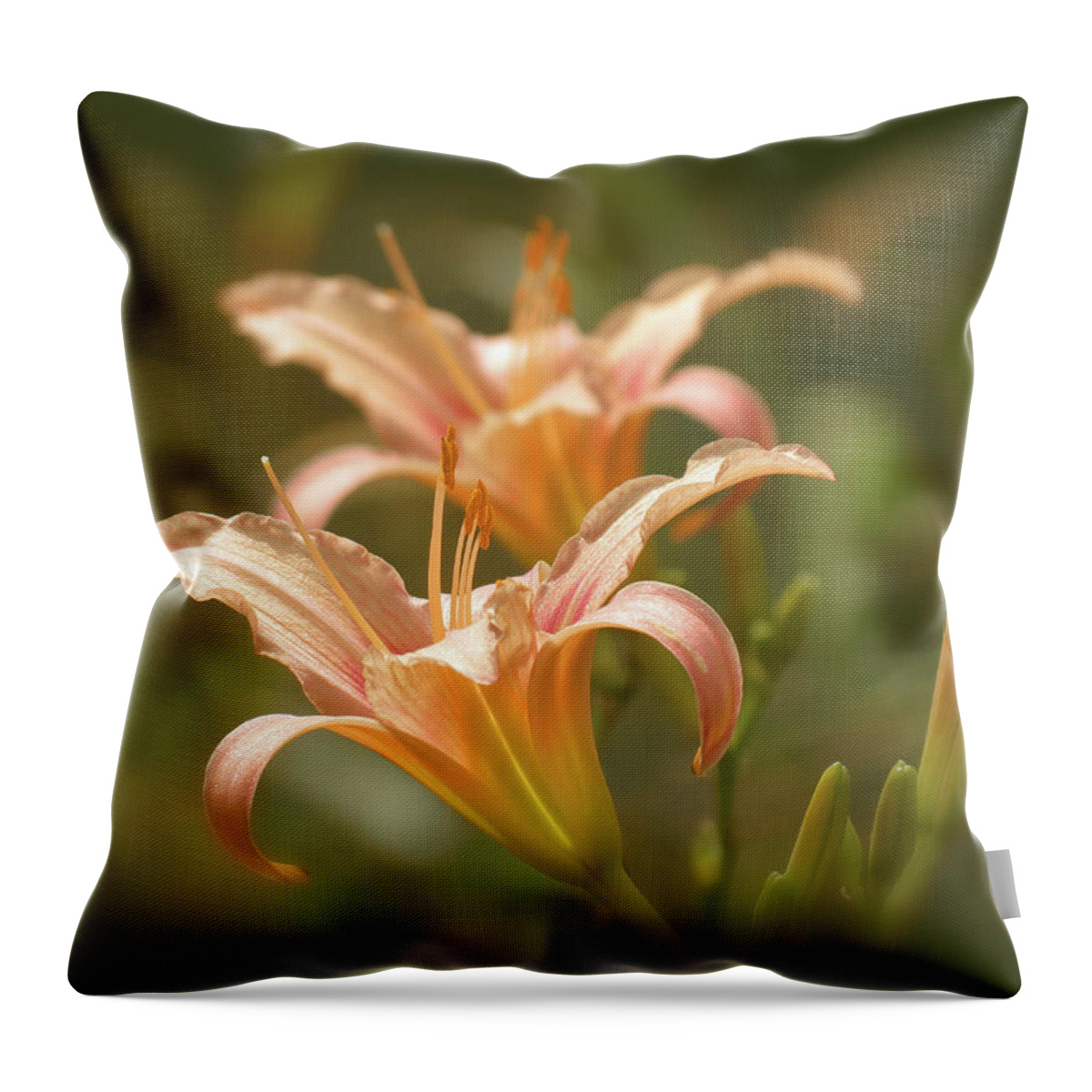Picture Pink Daylilies Throw Pillow featuring the photograph Lily Pair - Indian Summer by MTBobbins Photography