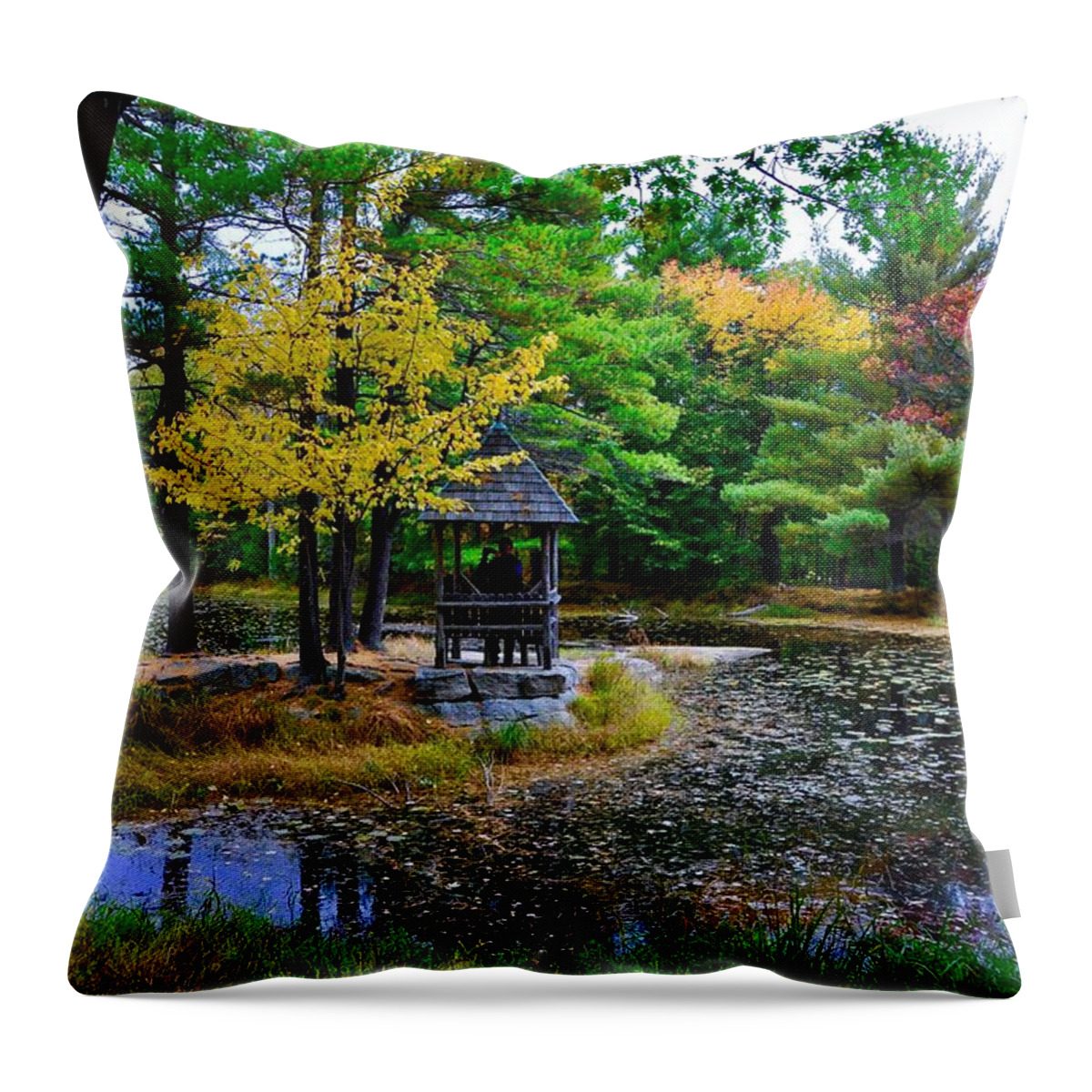 #lily Pads Throw Pillow featuring the photograph Lily Pond in Autumn by Cornelia DeDona