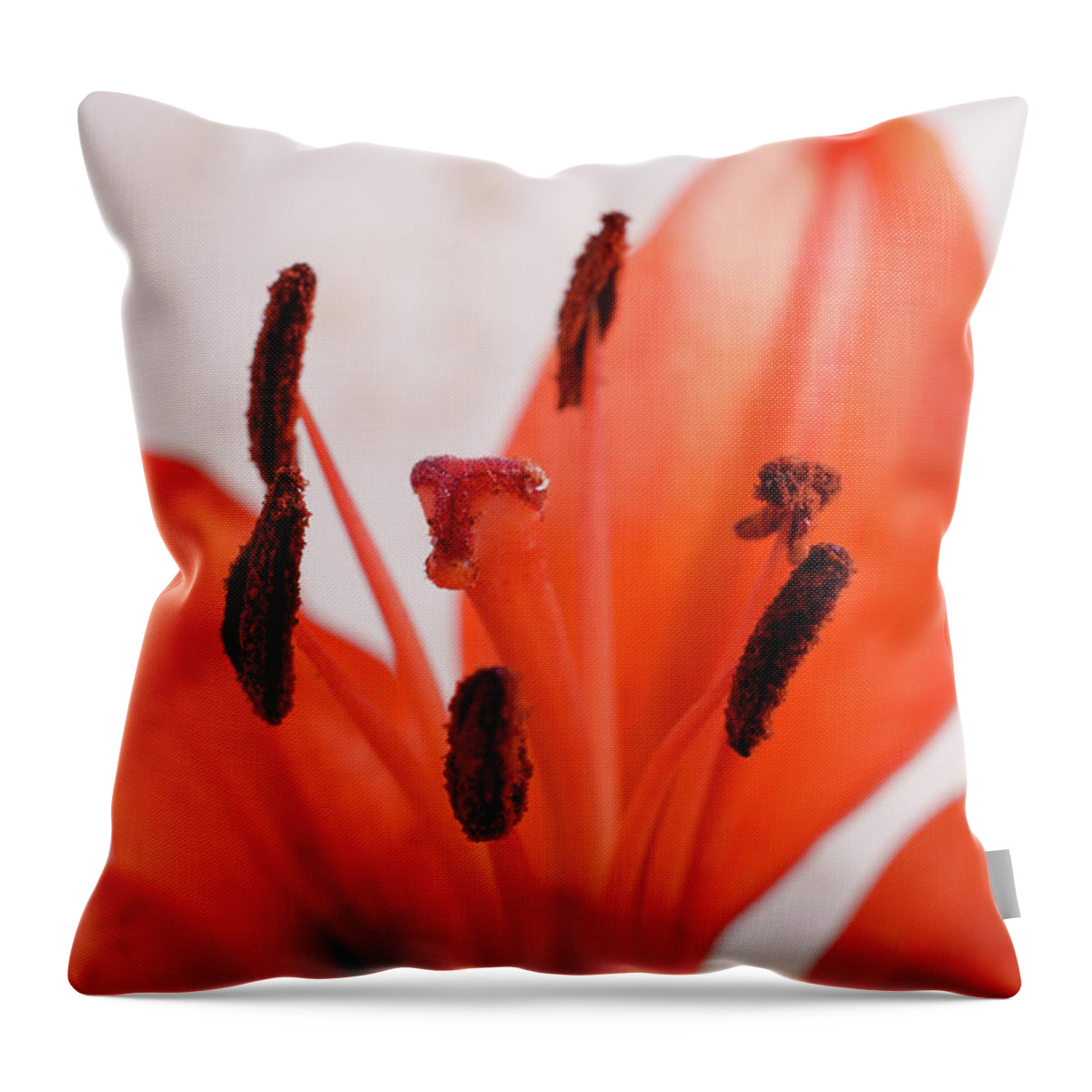 Lily Throw Pillow featuring the photograph Lily Stigma Botanical / Nature / Floral Photograph by PIPA Fine Art - Simply Solid