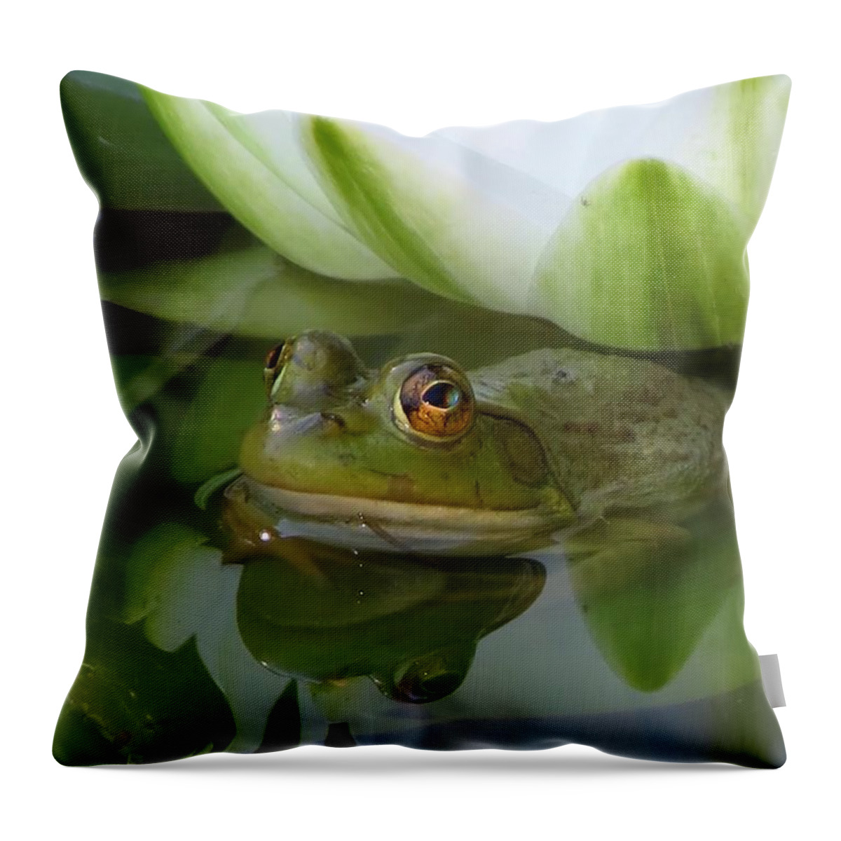 Animal Throw Pillow featuring the photograph Lilyfrog - Frog with Water Lily by MTBobbins Photography