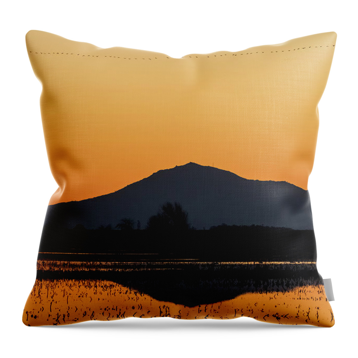 Landscape Throw Pillow featuring the photograph Line of Birds Above Mt. Diablo by Marc Crumpler