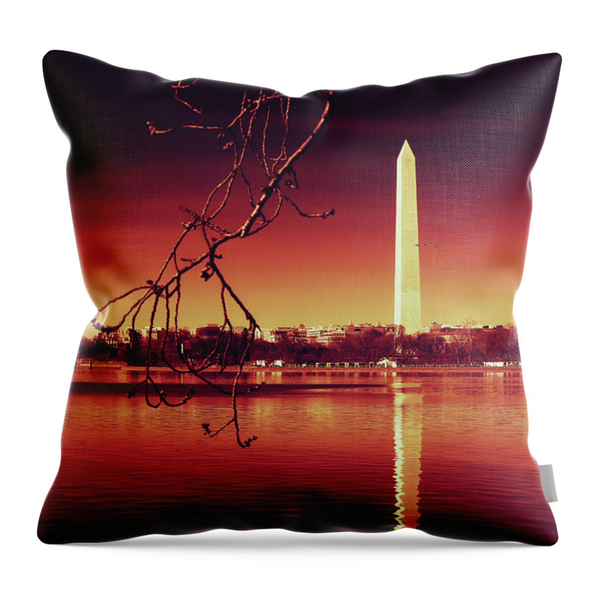 Washington Throw Pillow featuring the photograph Line Up by Iryna Goodall