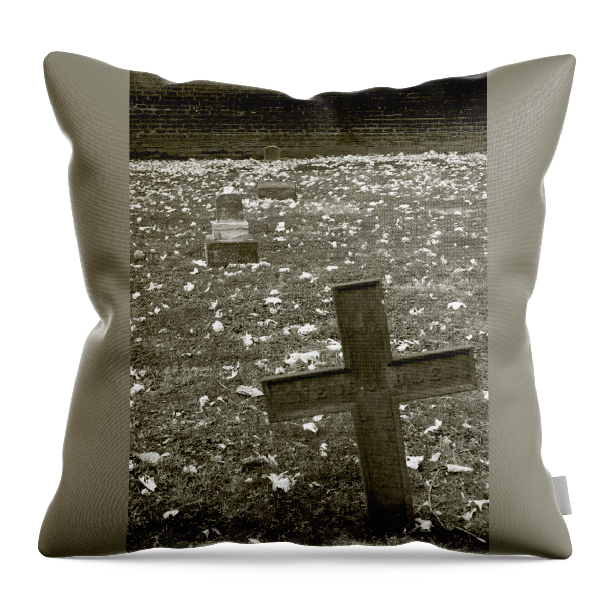  Throw Pillow featuring the photograph Line up by Melissa Newcomb