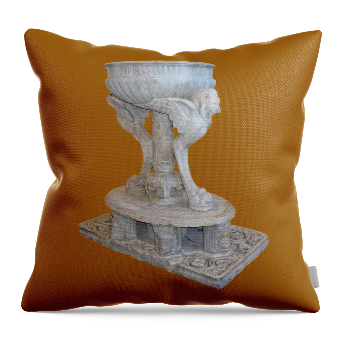 Photography Throw Pillow featuring the photograph Lion Guardian by Francesca Mackenney