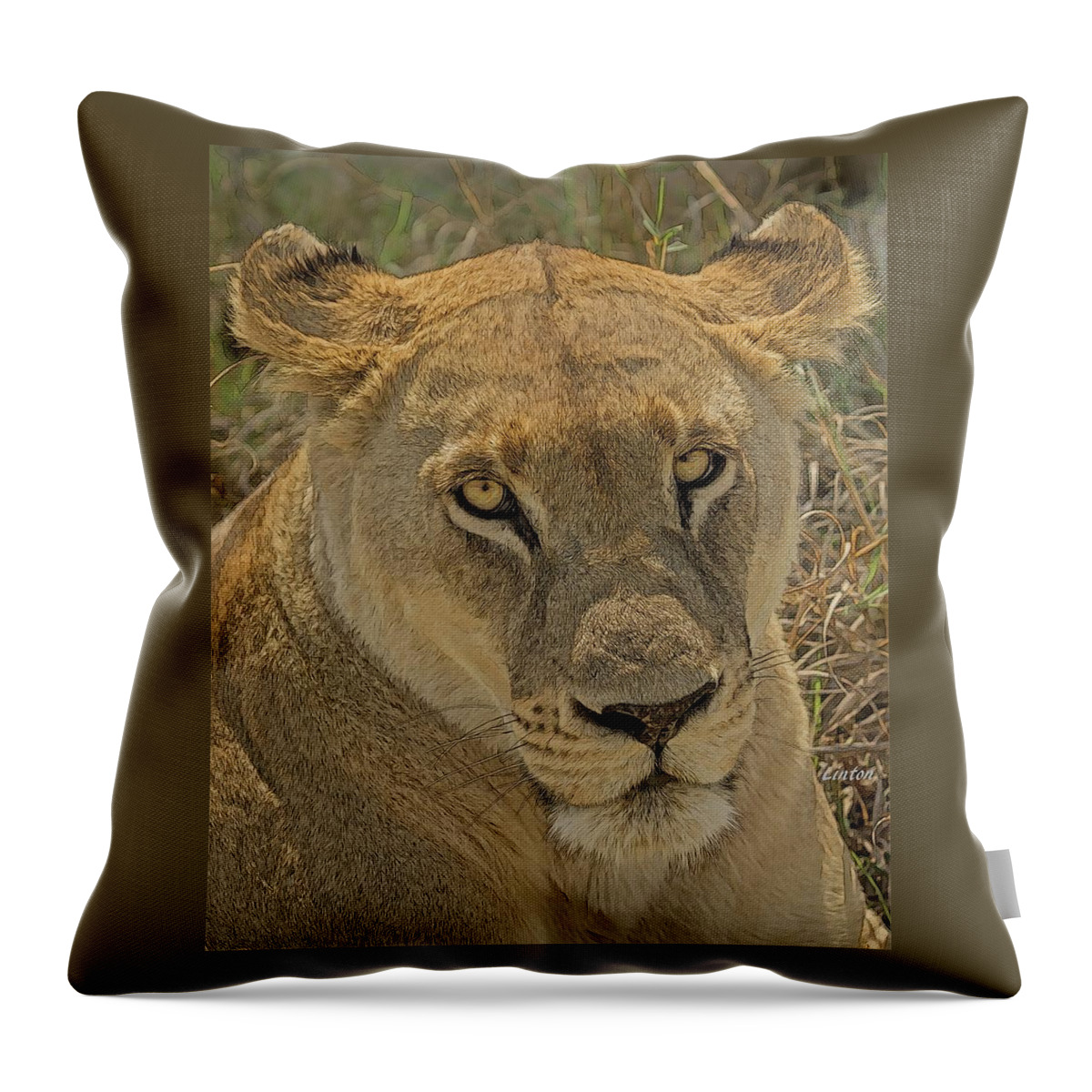 Lion Throw Pillow featuring the digital art Lioness by Larry Linton