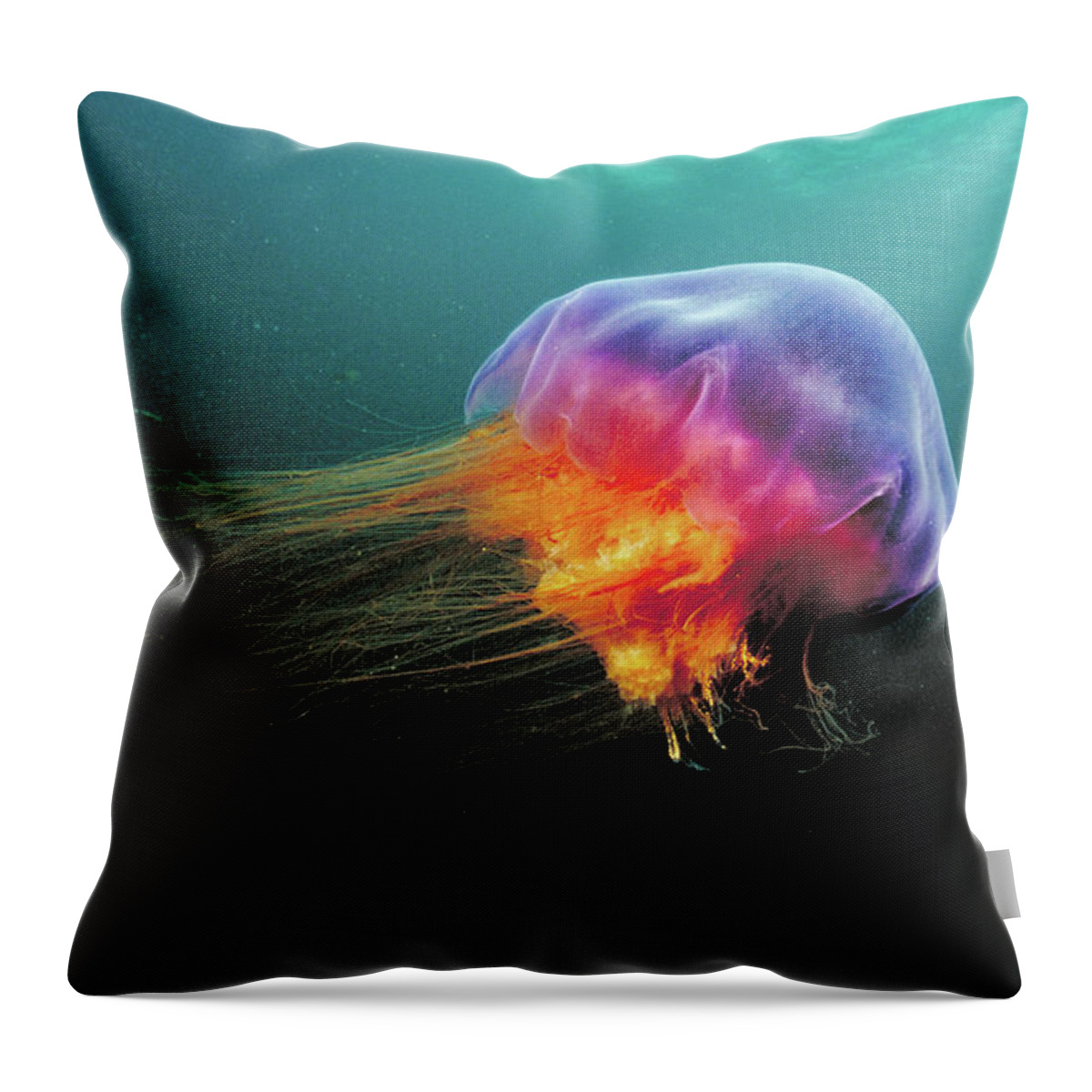 00301208 Throw Pillow featuring the photograph Lions Mane Cyanea Capillata Jellyfish by Scott Leslie