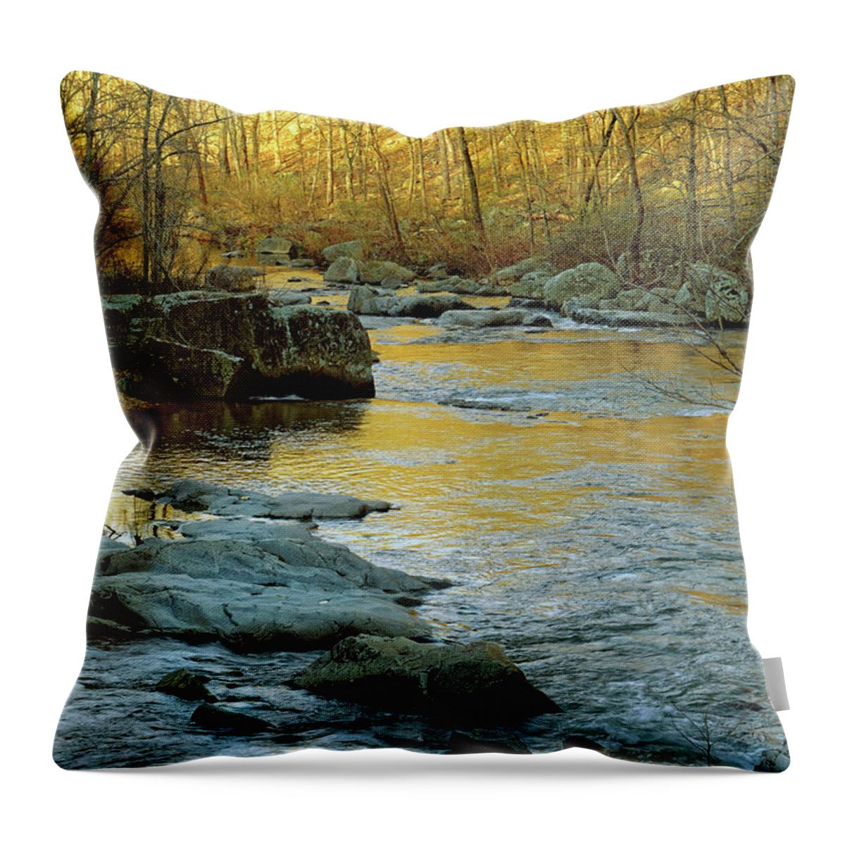 2016 Throw Pillow featuring the photograph Liquid Gold by Robert Charity