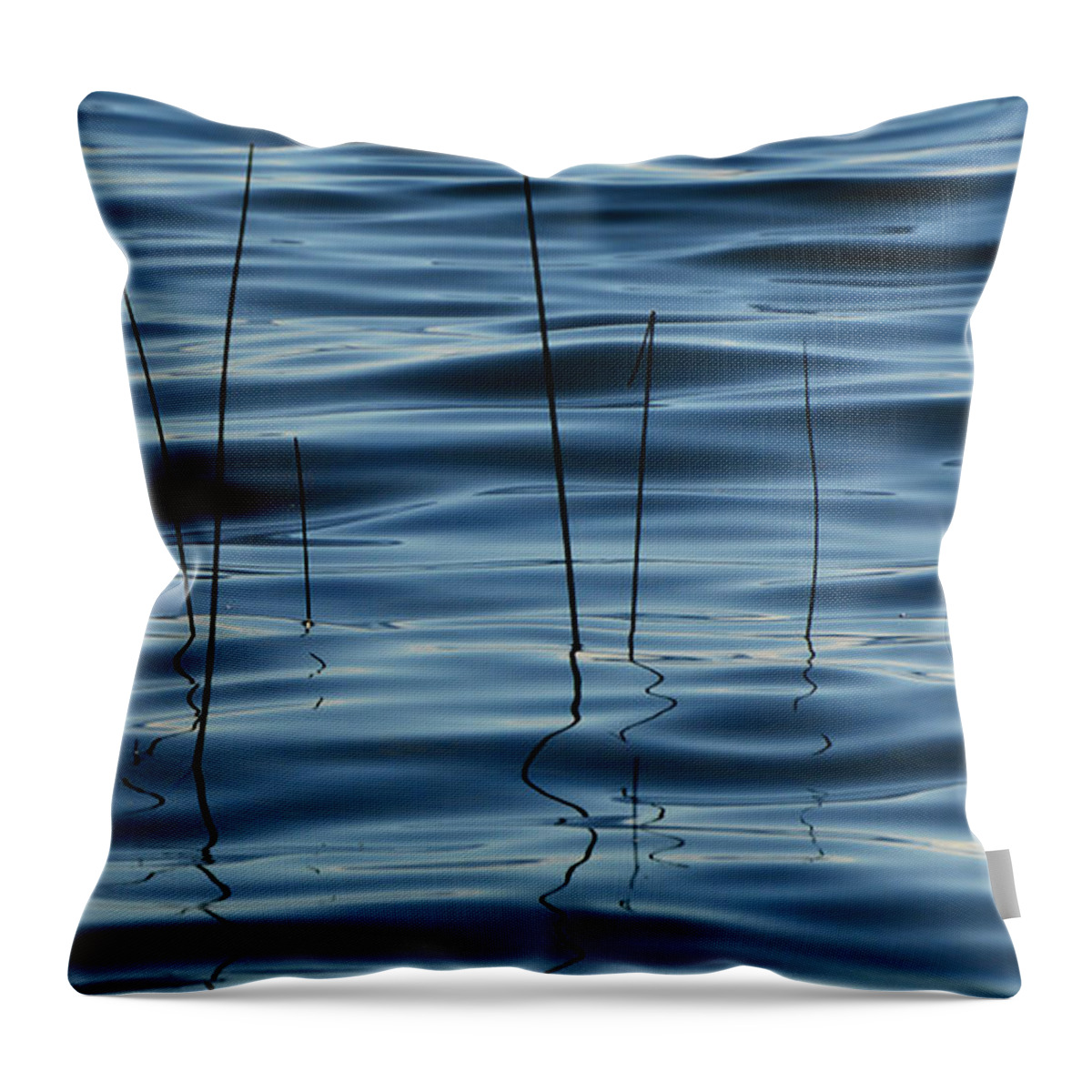 Abstract Throw Pillow featuring the photograph Liquid Reflections by Lyle Crump