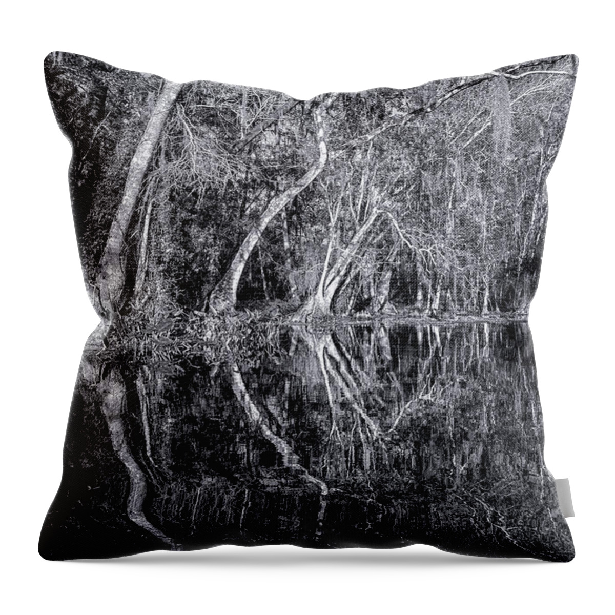 Sherry Day Throw Pillow featuring the photograph Liquid Silver by Ghostwinds Photography