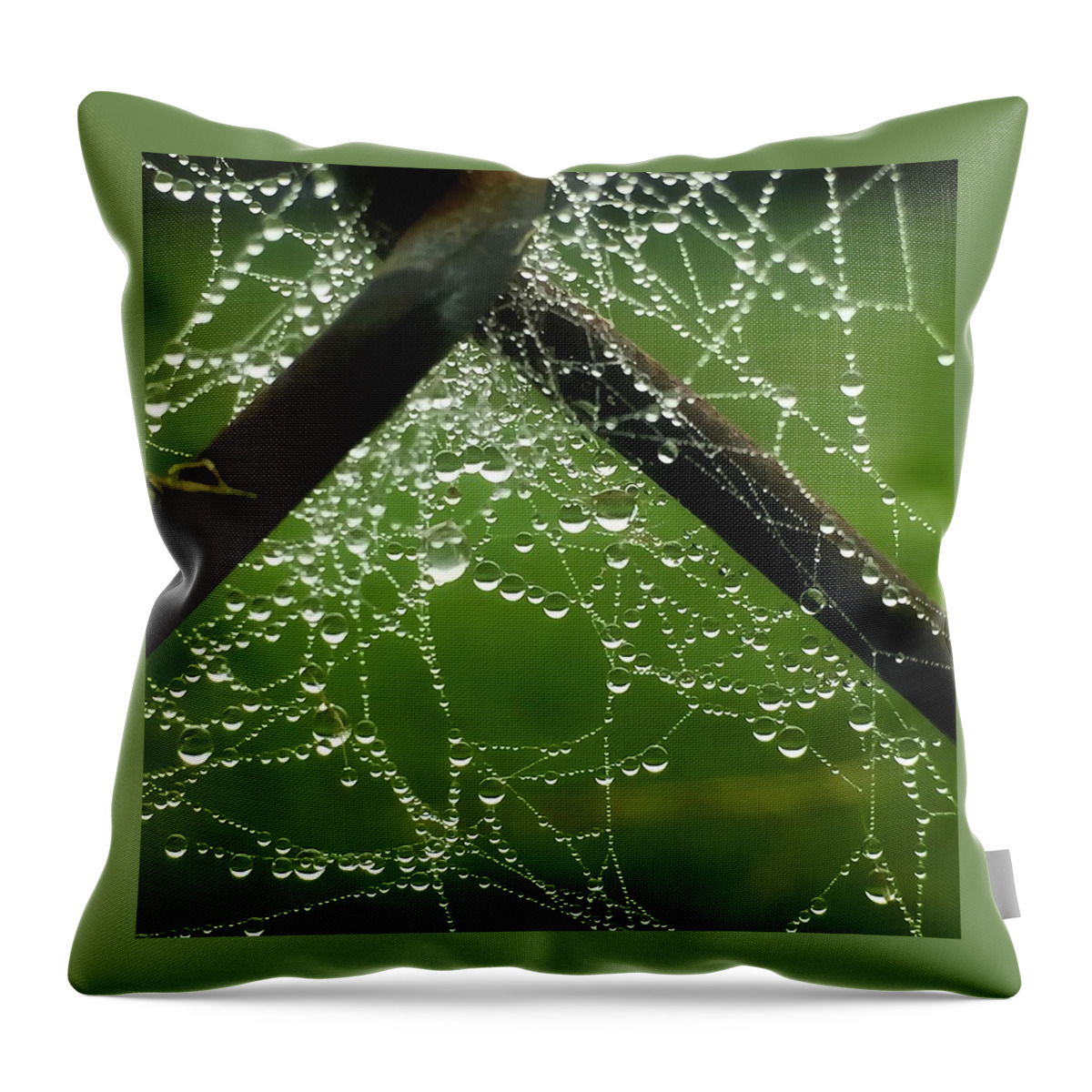 Web Throw Pillow featuring the photograph Lit Web by Terri Hart-Ellis
