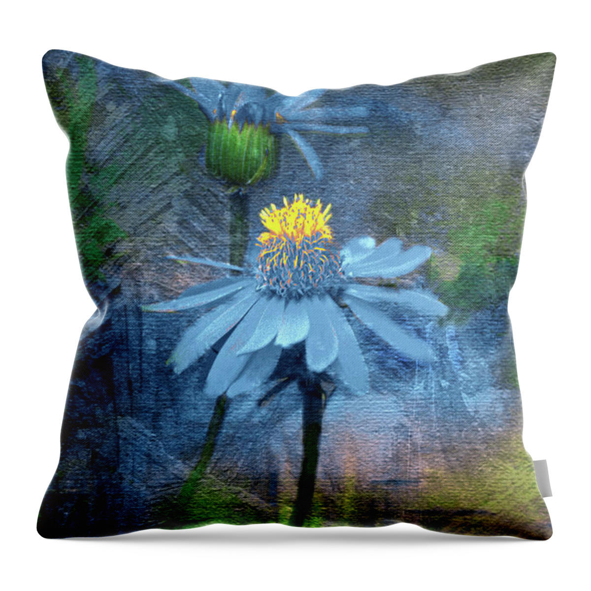 Blue Throw Pillow featuring the photograph Little Blue Flowers by Jerry Griffin