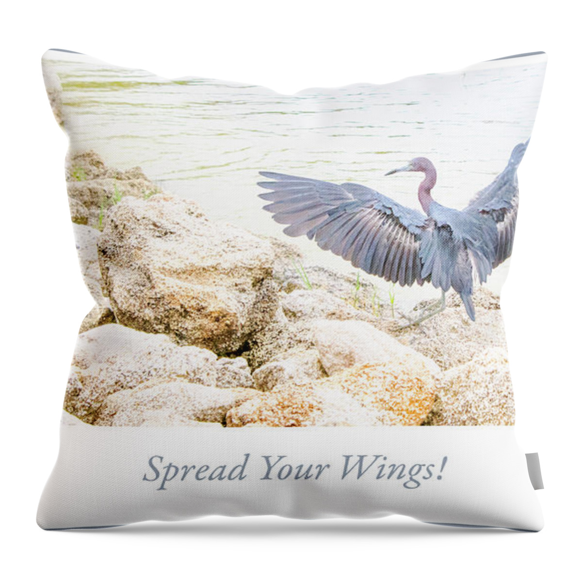 Little Blue Heron Throw Pillow featuring the photograph Little Blue Heron Spreads its Wings by A Macarthur Gurmankin