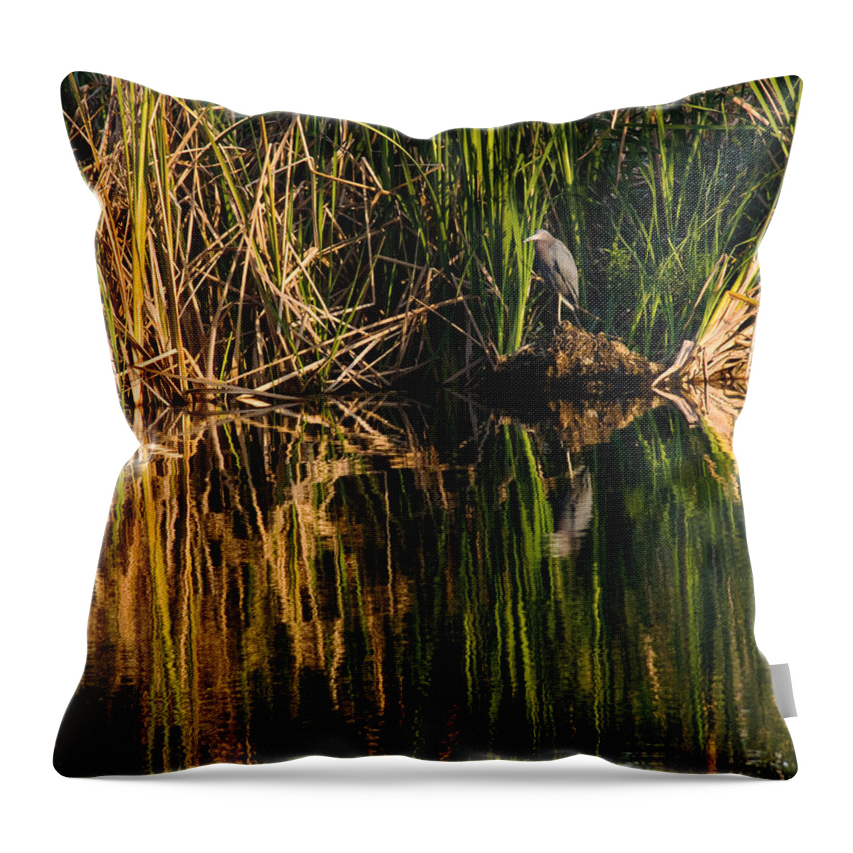 Heron Throw Pillow featuring the photograph Little Blue Heron by Steven Sparks