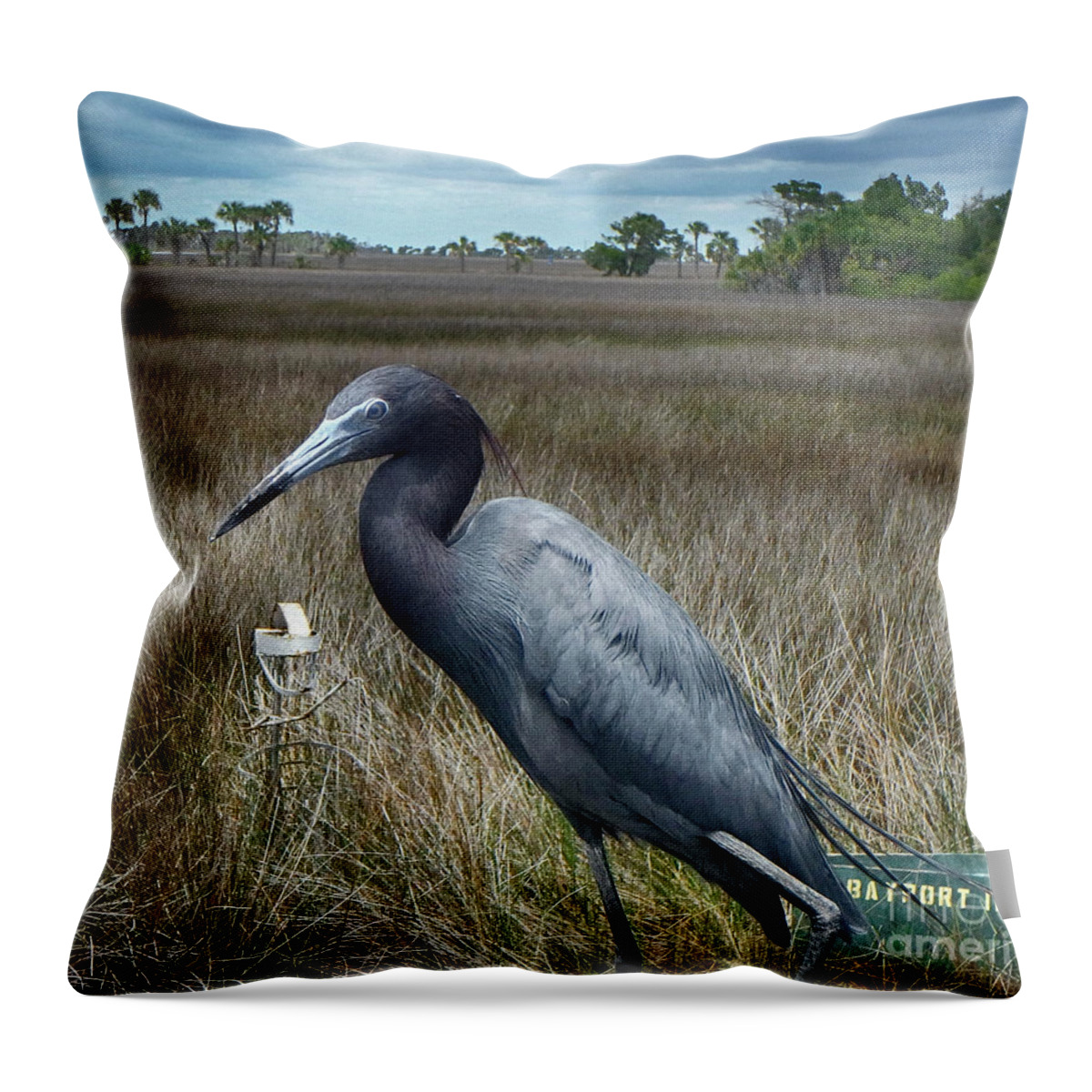 Blue Throw Pillow featuring the photograph Little Blue Portrait by Judy Hall-Folde