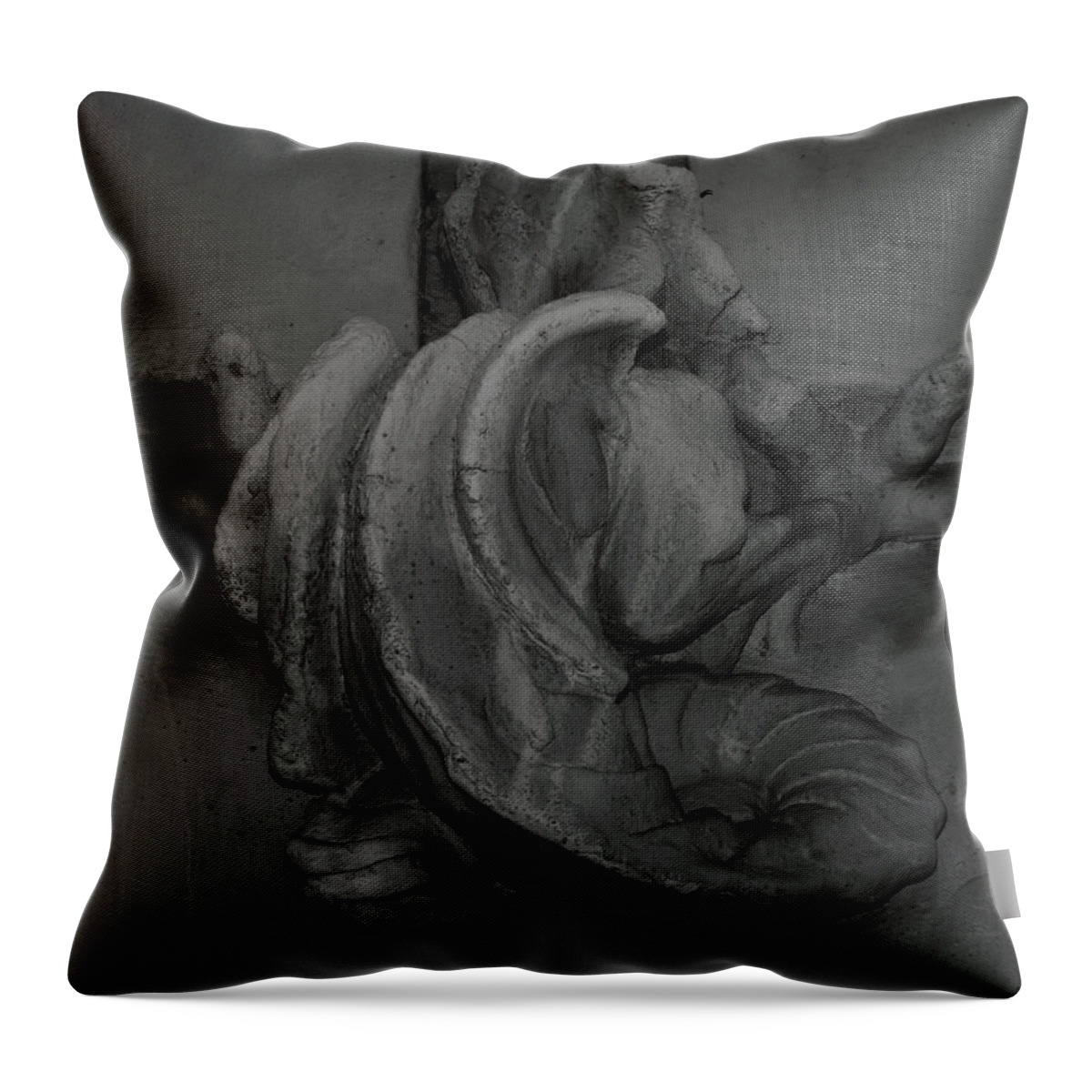 Little Throw Pillow featuring the photograph Little dragon by Emme Pons