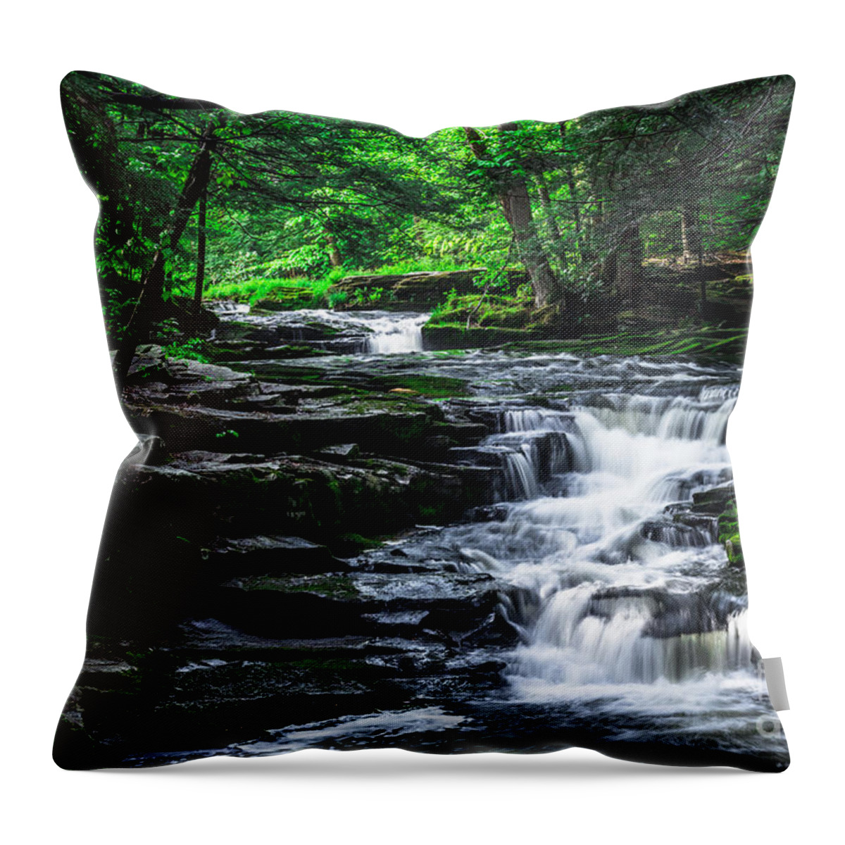 Little Falls Throw Pillow featuring the photograph Little Falls by David Rucker