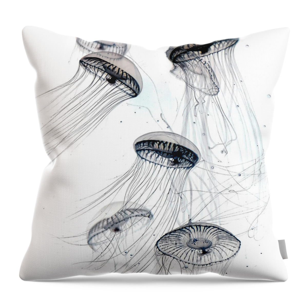 Jellyfish Throw Pillow featuring the photograph Little Jellyfish 2 by Endre Balogh