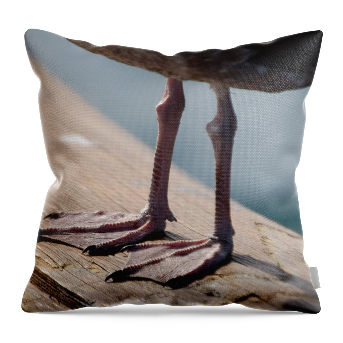 Bird Throw Pillow featuring the photograph Little Legs by Maria Aduke Alabi