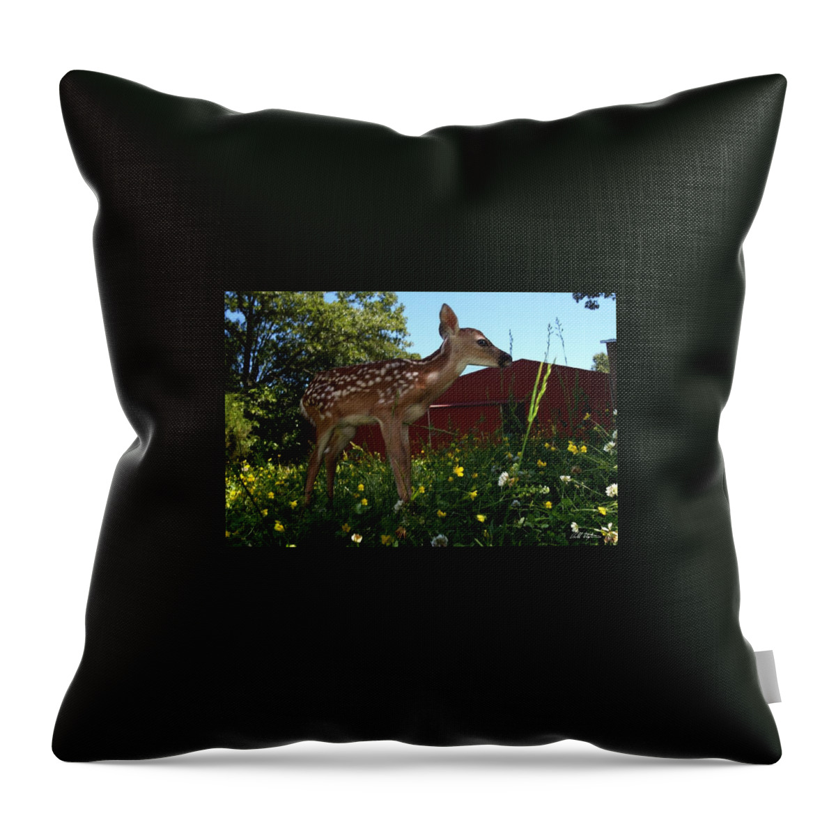 Deer Throw Pillow featuring the photograph Little Lochem by Bill Stephens