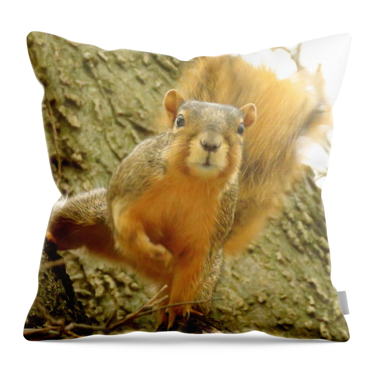 Squirrels Throw Pillow featuring the photograph Little Miss Sassy by Lori Frisch
