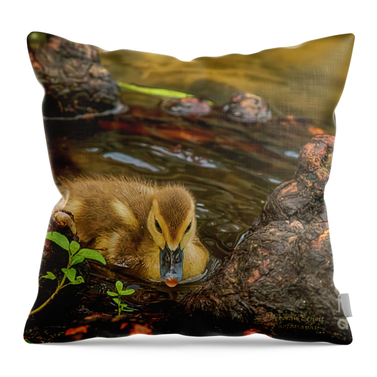 Duck Throw Pillow featuring the photograph Little Nature Gem by Deborah Benoit
