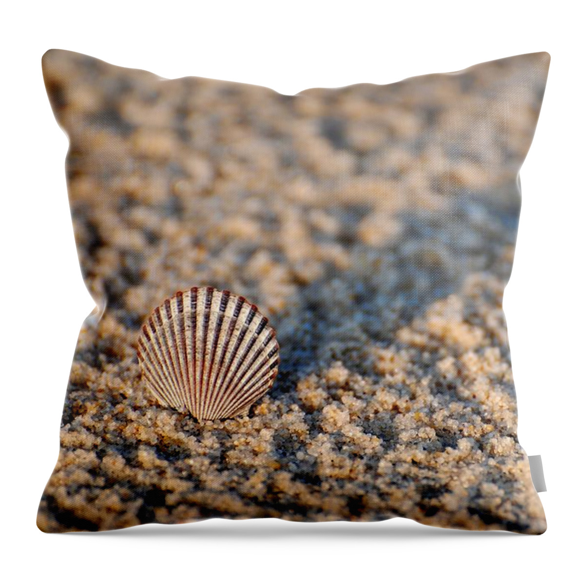 Seashell Throw Pillow featuring the photograph Little Seashell - Jersey Shore by Angie Tirado