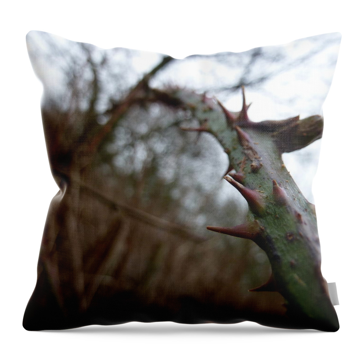 Spikes Throw Pillow featuring the photograph Little spikes by Lukasz Ryszka