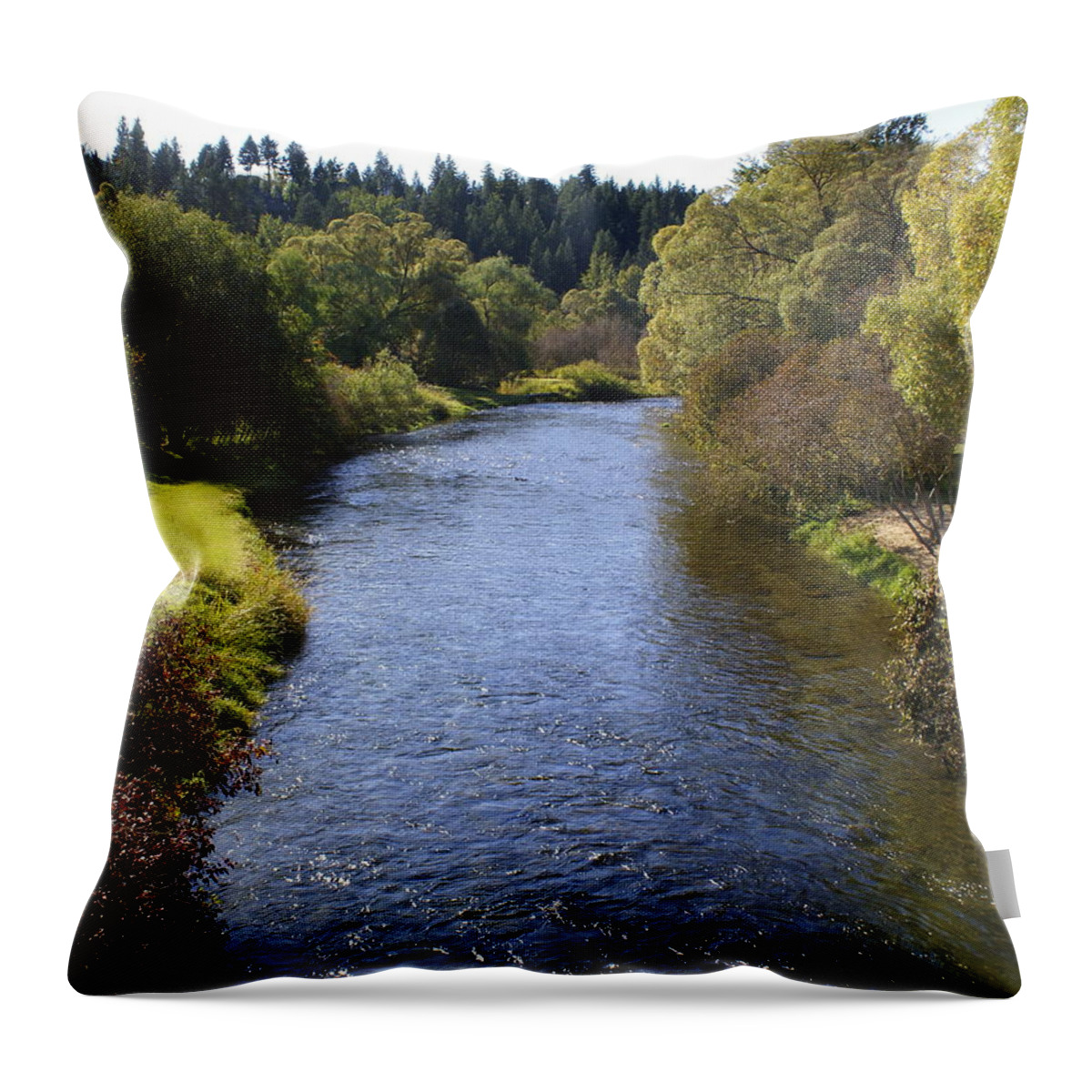 Nature Throw Pillow featuring the photograph Little Spokane River by Ben Upham III