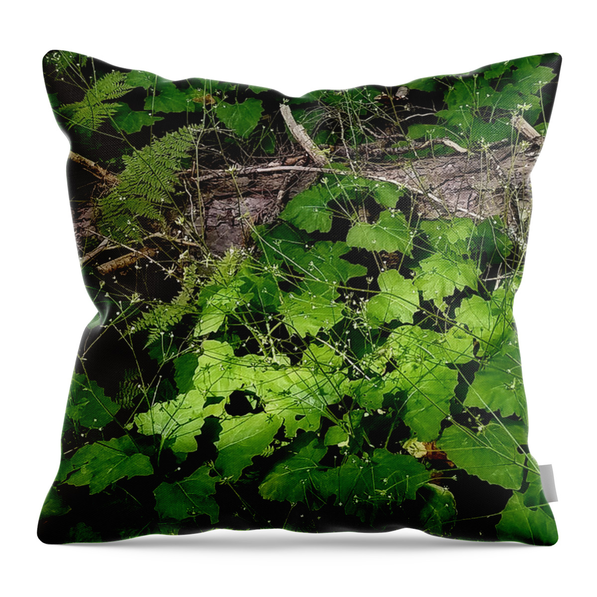 Glacier Park Throw Pillow featuring the digital art Little Things by Susan Kinney