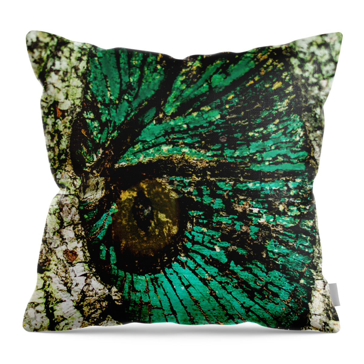 Oak Throw Pillow featuring the photograph Live Oak by Metaphor Photo