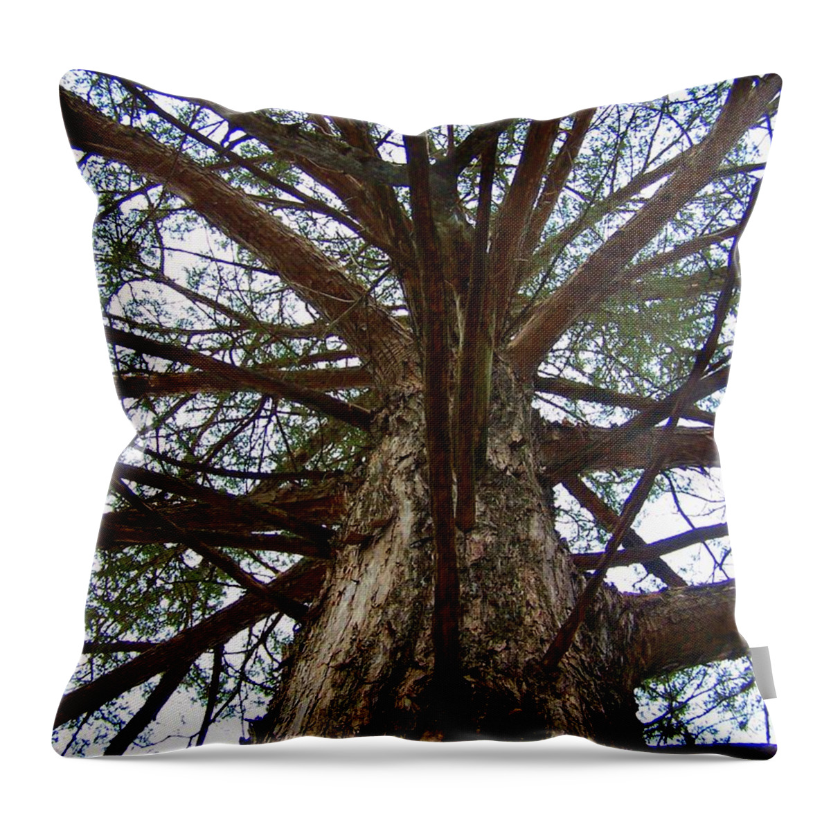 Life Throw Pillow featuring the photograph LIve Spokes by Nadine Rippelmeyer