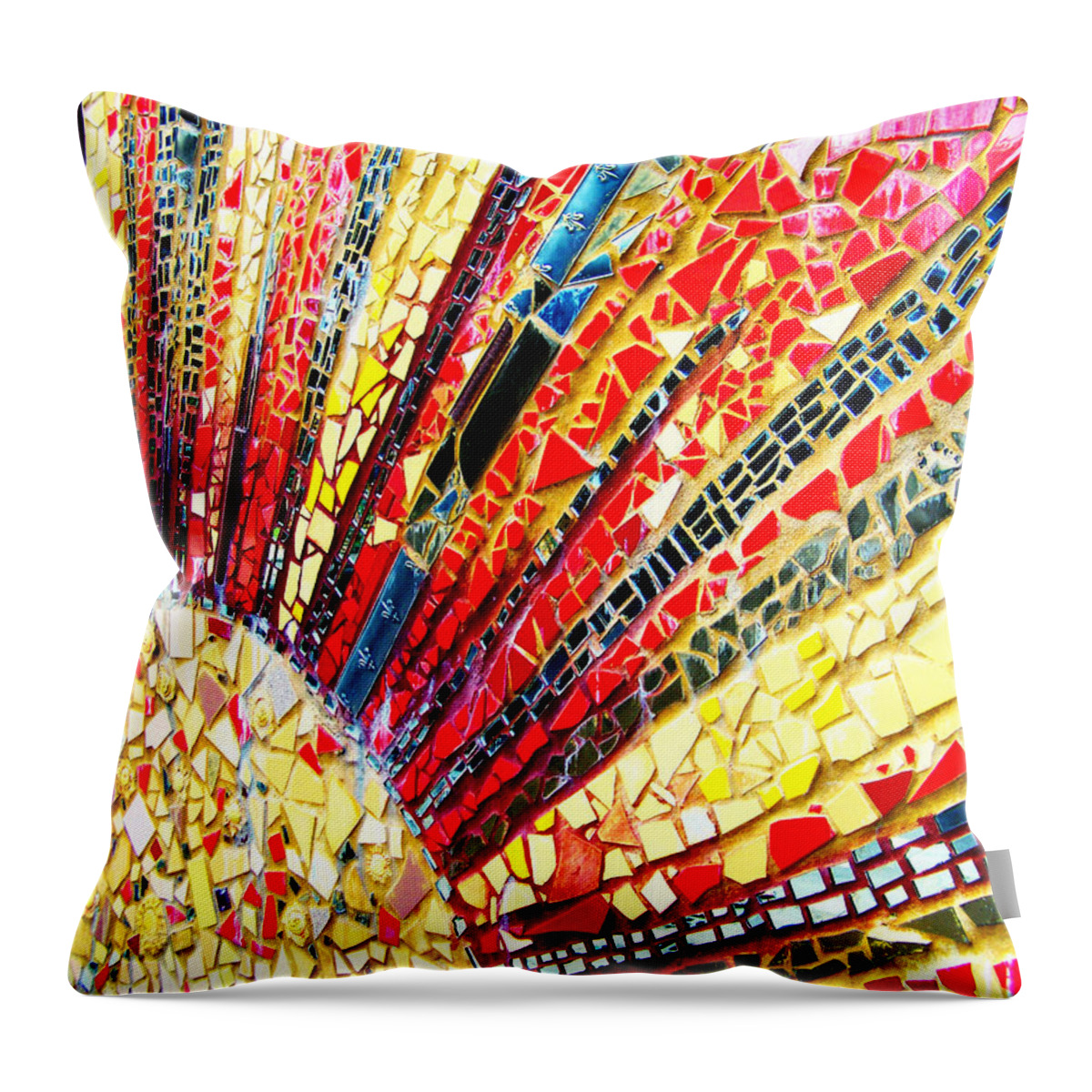 Tracy Van Duinen Throw Pillow featuring the photograph Living Edgewater Mosaic by Kyle Hanson