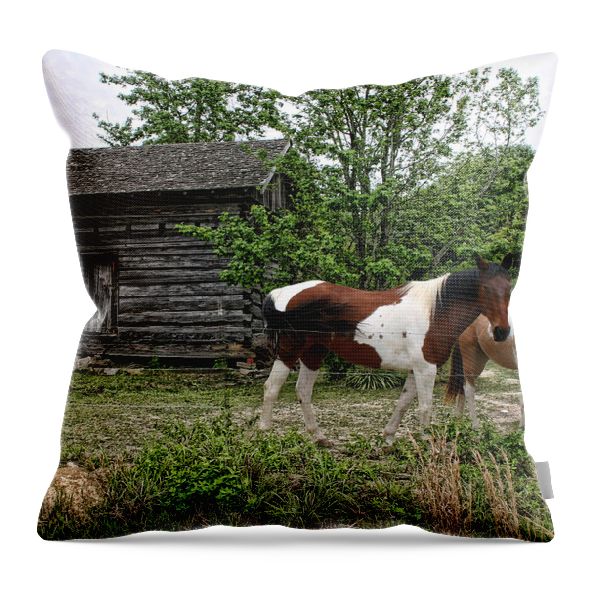 Horses Throw Pillow featuring the photograph Livingston Cabin by Patricia Montgomery