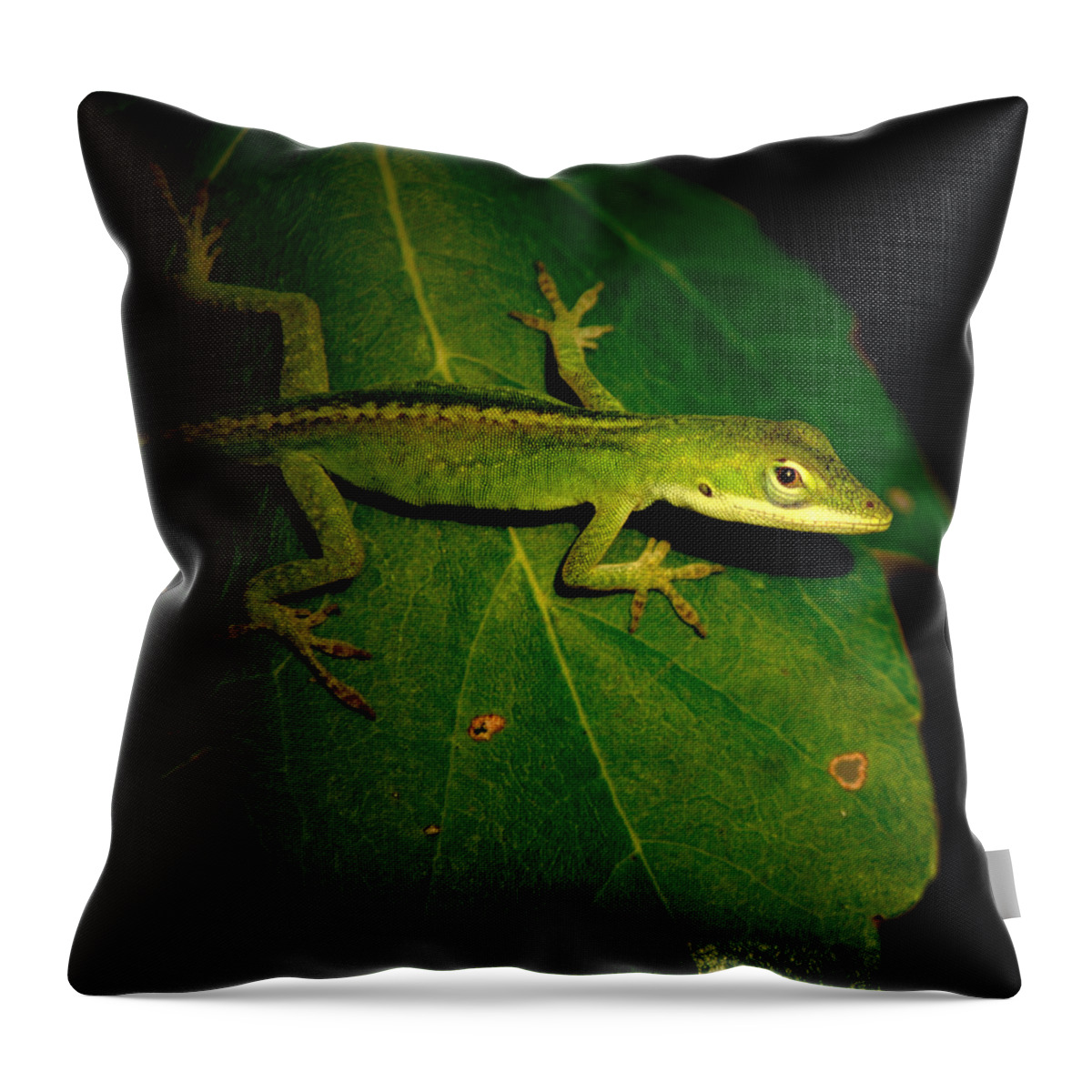  Throw Pillow featuring the photograph Lizard 5 by David Weeks