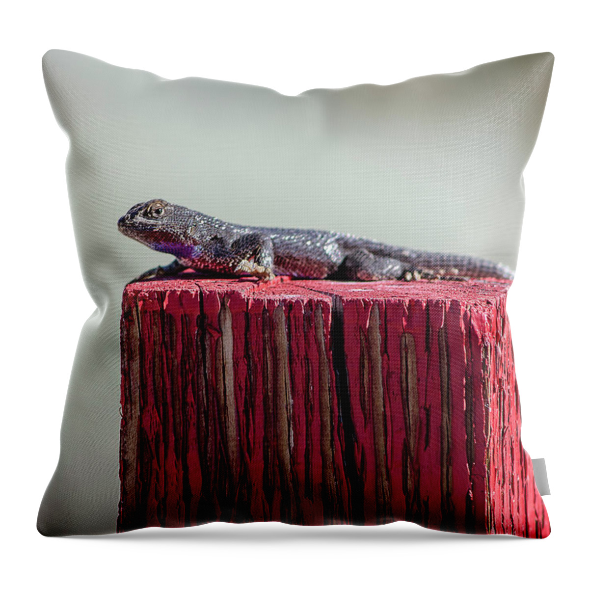 Red Throw Pillow featuring the photograph Lizard on a Red Post by Rick Mosher