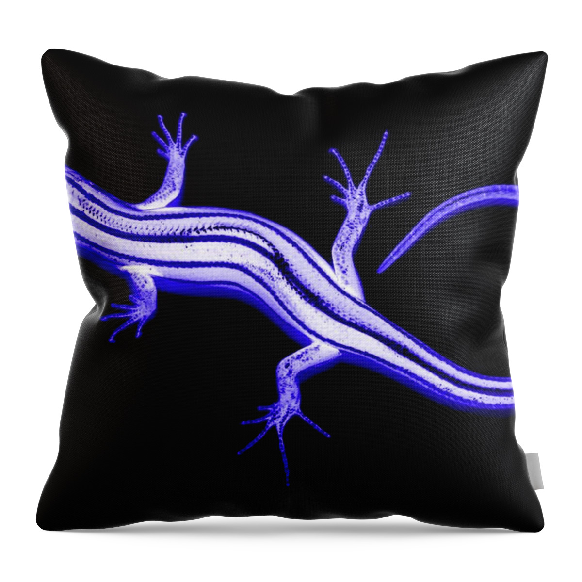 Landscape Throw Pillow featuring the photograph Lizard with Negative Attitude by Morgan Carter