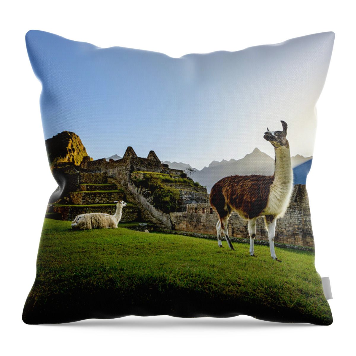 Sunrise Throw Pillow featuring the photograph Llamas at the Ruins by Oscar Gutierrez