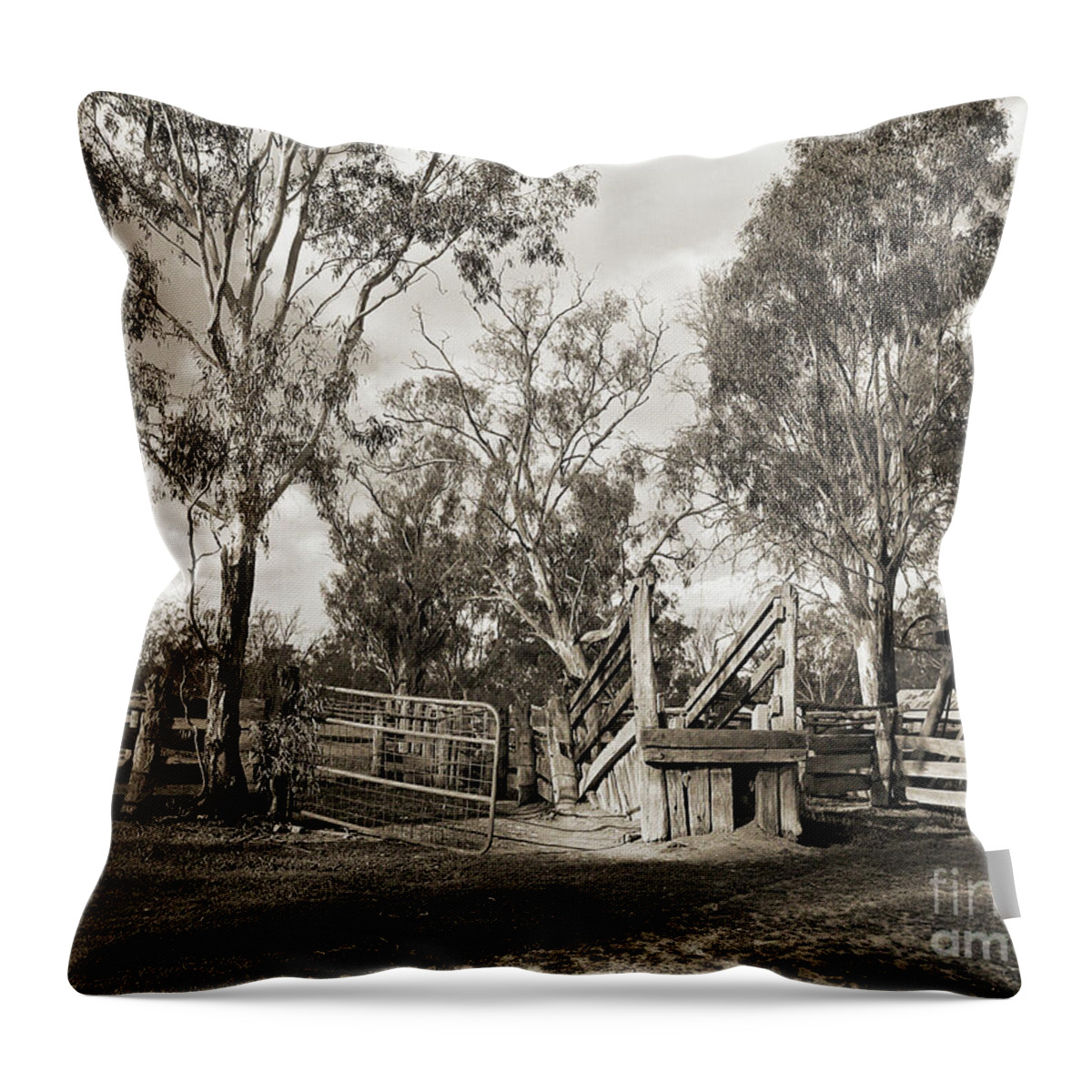 Ramp Throw Pillow featuring the photograph Loading Ramp by Linda Lees